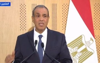 وزير الخارجية المصري: نعمل على سرعة التوصل إلى صفقة لوقف إطلاق النار في غزة لمدة 60 يوما