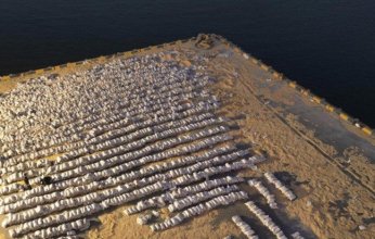 الكويت.. إحباط محاولة تهريب كمية كبيرة من المخدرات داخل شحنة قادمة من إيران