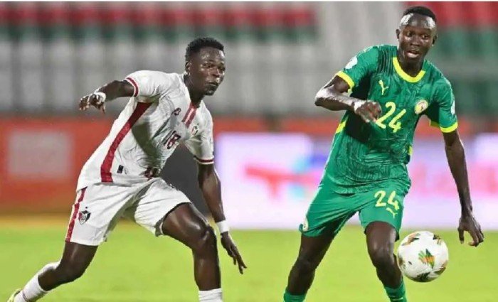 بث مباشر.. مشاهدة مباراة السودان والسنغال في أمم إفريقيا للمحليين بث مباشر.. مشاهدة مباراة السودان والسنغال في أمم إفريقيا للمحليين