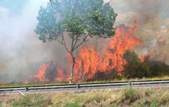 حريق هائل يلتهم أكثر من 10 آلاف هكتار من النباتات جنوب فرنسا