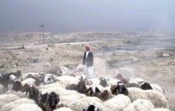 السنغال تسجل 7 وفيات بسبب تفشي حمى الوادي المتصدع شمال البلاد