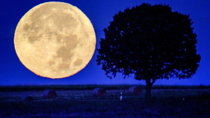 ماذا يحدث.. القمر اليوم إضاءته أقل من 80% ماذا يحدث.. القمر اليوم إضاءته أقل من 80%