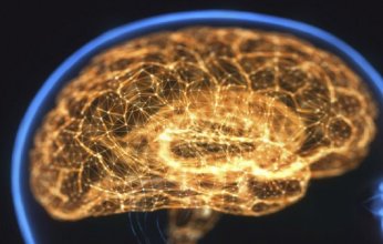 إشارات مبكرة لالتهاب السحايا.. علامة تحذيرية تستدعي التدخل الفوري