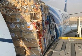لأول مرة.. مصر للطيران تنجح في نقل شحنة حساسة من النحل الحي إلى السعودية