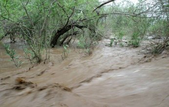 انهيار أرضي يودي بحياة 1000 شخص في جبال مرة غرب السودان.. ماذا يحدث؟