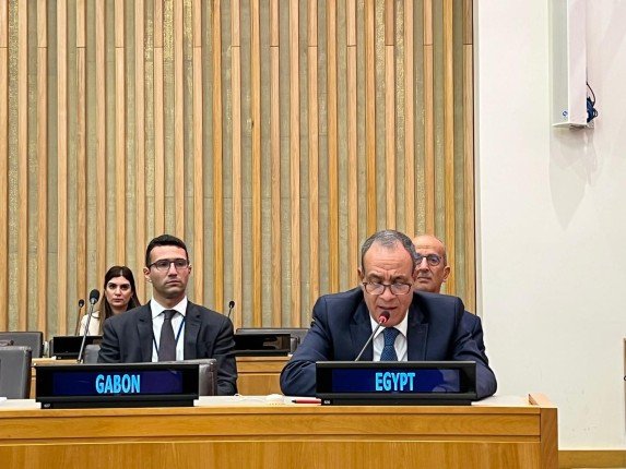 مصر.. وزير الخارجية يشارك في الاجتماع الوزاري التنسيقي لوزراء خارجية منظمة التعاون الإسلامي مصر.. وزير الخارجية يشارك في الاجتماع الوزاري التنسيقي لوزراء خارجية منظمة التعاون الإسلامي