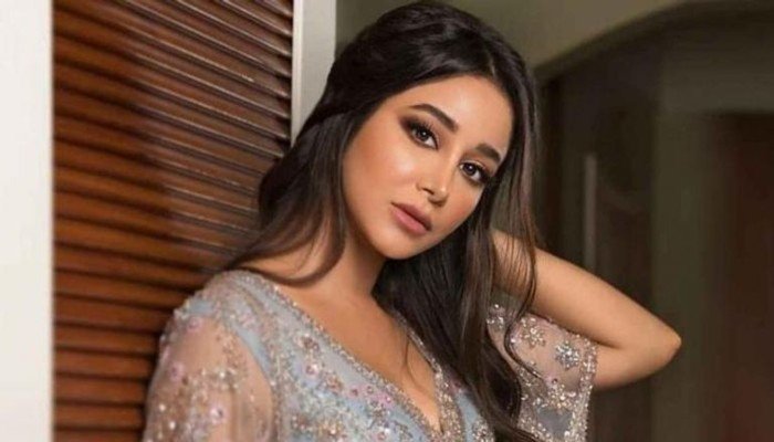 الفنانة السعودية أسيل عمران ترد على منتقدي قرارها بتجميد البويضات الفنانة السعودية أسيل عمران ترد على منتقدي قرارها بتجميد البويضات