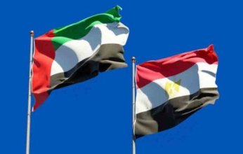 الإمارات تشيد بجهود مصر للتوصل إلى وقف إطلاق النار في غزة