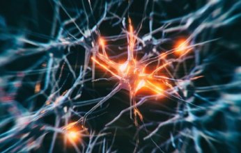 إضافة غذائية تقود طفرة في أبحاث الدماغ وأمل جديد لعلاج الأمراض العصبية