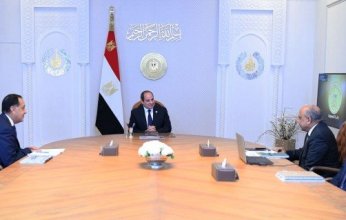 مصر.. الرئيس السيسي يجتمع مع رئيس الوزراء ووزير الكهرباء