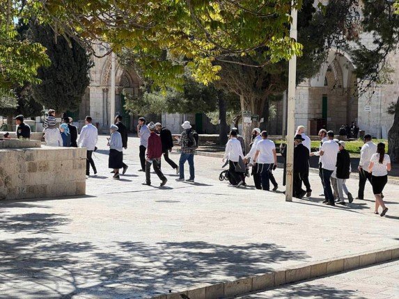مستعمرون يقتحمون المسجد الأقصى و"جماعات الهيكل" تدعو إلى اقتحامات واسعة الاثنين المقبل مستعمرون يقتحمون المسجد الأقصى و"جماعات الهيكل" تدعو إلى اقتحامات واسعة الاثنين المقبل