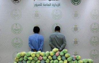 إحباط محاولة تهريب كمية من نبات القات المخدر بمنطقة عسير