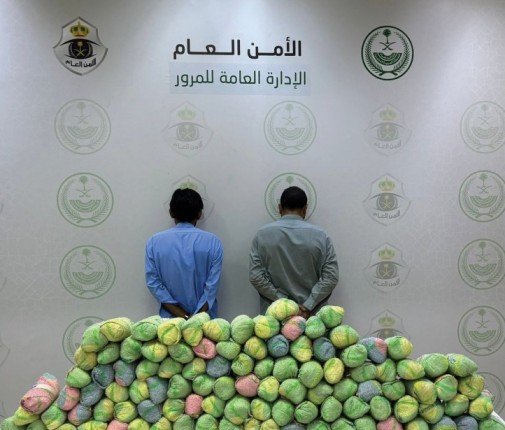 إحباط محاولة تهريب كمية من نبات القات المخدر بمنطقة عسير إحباط محاولة تهريب كمية من نبات القات المخدر بمنطقة عسير