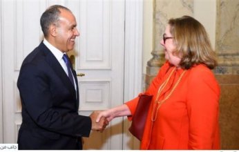 وزير الخارجية المصري يستقبل مدير عام القوة متعددة الجنسيات بسيناء