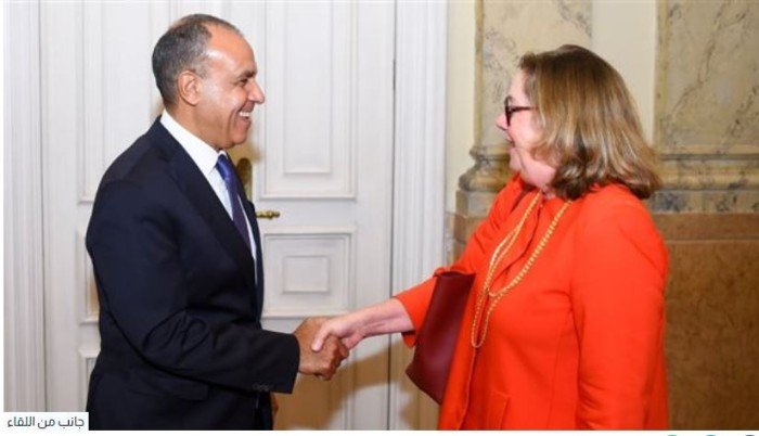 وزير الخارجية المصري يستقبل مدير عام القوة متعددة الجنسيات بسيناء وزير الخارجية المصري يستقبل مدير عام القوة متعددة الجنسيات بسيناء