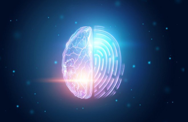 دراسة جديدة تكشف بصمة دماغية رئيسية مرتبطة بالتوحد دراسة جديدة تكشف بصمة دماغية رئيسية مرتبطة بالتوحد