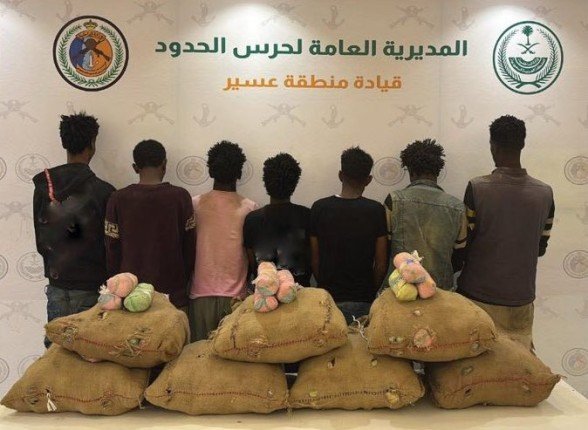 ضبط 7 أشخاص لمحاولتهم تهريب كمية من نبات القات المخدر بمنطقة عسير ضبط 7 أشخاص لمحاولتهم تهريب كمية من نبات القات المخدر بمنطقة عسير