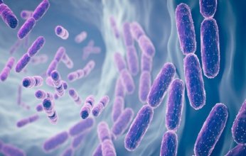 علماء كنديون يطورون "مصيدة معوية" لمكافحة السكري ودهون الكبد