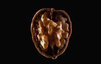 هل يمكن للجوز أن يصبح درعًا ضد أمراض الشيخوخة؟.. دراسة تجيب