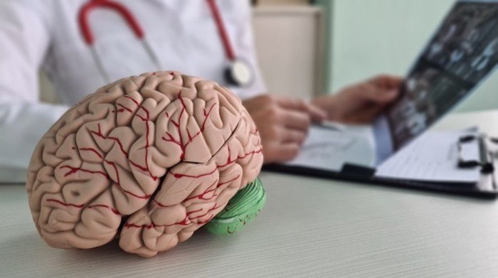 باحثون يطورون كبسولات لعلاج التهاب الدماغ والزهايمر باحثون يطورون كبسولات لعلاج التهاب الدماغ والزهايمر