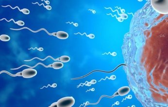 دراسة تكشف بروتينًا مفتاحيًا يتحكم في حركة الحيوانات المنوية وخصوبة الرجال