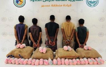 القبض على (5) أشخاص لمحاولتهم تهريب كمية من نبات القات المخدر بمنطقة عسير