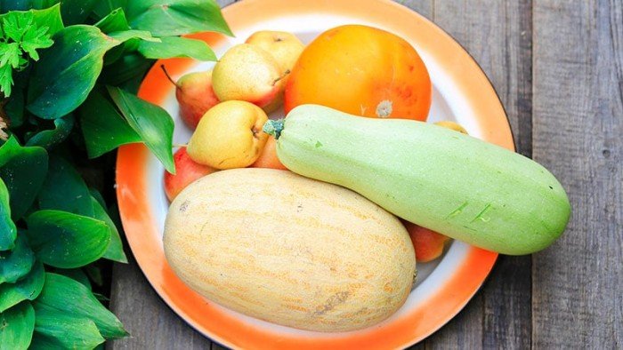 اليقطين والقرع.. "كربوهيدرات خريفية مثالية" تعزز حرق الدهون وتحافظ على الطاقة اليقطين والقرع.. "كربوهيدرات خريفية مثالية" تعزز حرق الدهون وتحافظ على الطاقة