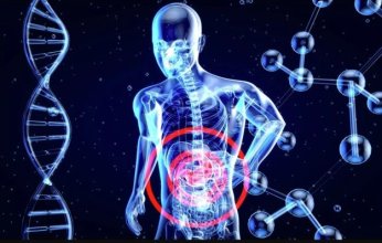 دراسة حديثة تكشف كيف يعيد رفع الأثقال "برمجة" الأمعاء