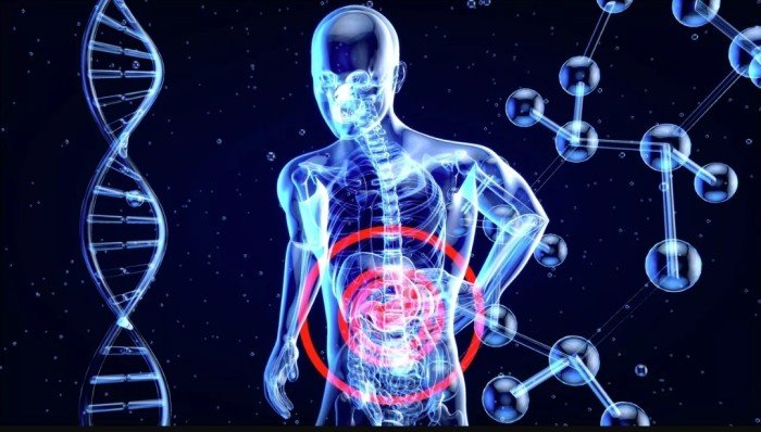 دراسة حديثة تكشف كيف يعيد رفع الأثقال "برمجة" الأمعاء دراسة حديثة تكشف كيف يعيد رفع الأثقال "برمجة" الأمعاء