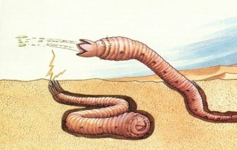 اكتشاف دودة تستخدم الكهرباء الساكنة﻿ والرياح لاصطياد الحشرات بدقة وكفاءة مذهلة