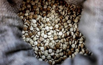 «الداخلية» السورية: ضبط 12 مليون حبة كبتاغون في ريف دمشق