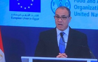 وزير الخارجية: لن نسمح بالإضرار بالشعب المصري وأمنه المائي