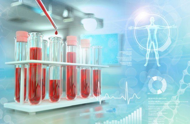 اختراق علمي جديد يفتح الباب أمام علاج جذري لمرض السكري من النوع الثاني اختراق علمي جديد يفتح الباب أمام علاج جذري لمرض السكري من النوع الثاني