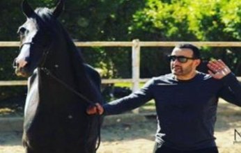 التحقيق فى واقعة سرقة متعلقات مدربة خيول وجواز سفر حصان أحمد السقا بأبو النمرس