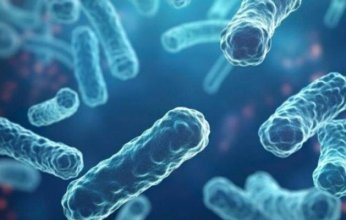 الجزائر تسجل حالتي وفاة بداء "الدفتيريا".. ما التفاصيل؟