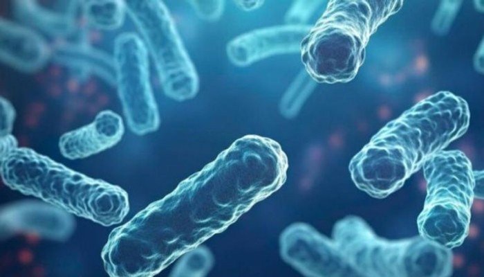الجزائر تسجل حالتي وفاة بداء "الدفتيريا".. ما التفاصيل؟ الجزائر تسجل حالتي وفاة بداء "الدفتيريا".. ما التفاصيل؟