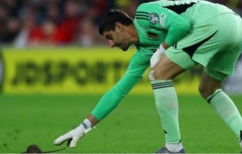 دخول "فأر".. حادث طريف يوقف مباراة ويلز وبلجيكا بتصفيات كأس العالم