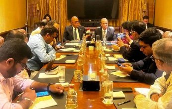 مصر.. وزير الخارجية يلتقي ممثلي كبرى الصحف الهندية ووكالات الأنباء الدولية