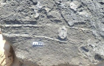 العثور على أقدم أثر من نوعه في العالم.. «زحف بالمؤخرة» عمره 126 ألف عام في جنوب إفريقيا