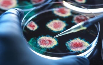 الهيل.. توابل شائعة قد تشكل درعًا طبيعيًا ضد العدوى الفيروسية