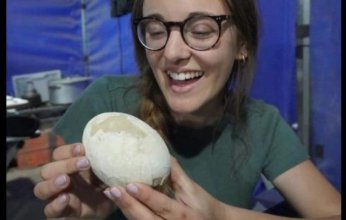 اكتشاف بيضة ديناصور سليمة في الأرجنتين عمرها 70 مليون سنة.. ما التفاصيل؟