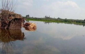 مصر.. طوارئ الأقصر تحذر المقيمين بأراضي طرح النهر من تداعيات ارتفاع منسوب النيل