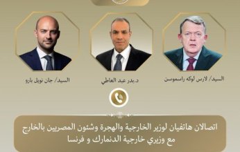 مصر.. وزير الخارجية يؤكد ضرورة النفاذ الكامل للمساعدات الإنسانية والإغاثية لقطاع غزة