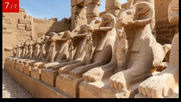 الصحف الهندية تختار الأقصر ضمن أعرق 6 مدن في العالم الصحف الهندية تختار الأقصر ضمن أعرق 6 مدن في العالم