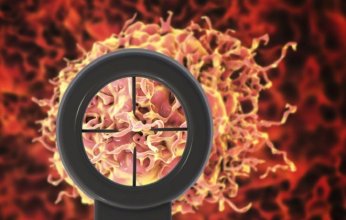 اكتشاف علمي قد يُحدث ثورة في علاج السرطان.. «الدماغ الثاني» في الجهاز الهضمي يلعب دورًا في نمو الأورام