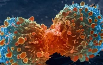 باحثون أمريكيون ينجحون في إنتاج خلايا طبيعية معدلة جينيا لمكافحة السرطان