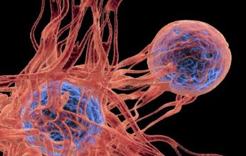 ابتكار دوائي واعد يفتح آفاقاً جديدة لعلاج السرطان بمستويات غير مسبوقة من الفاعلية