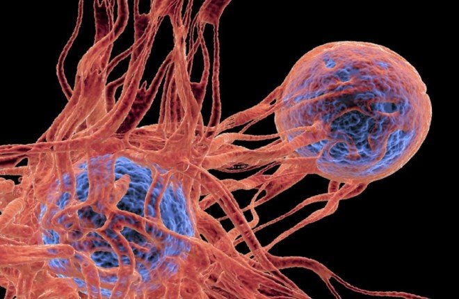 ابتكار دوائي واعد يفتح آفاقاً جديدة لعلاج السرطان بمستويات غير مسبوقة من الفاعلية ابتكار دوائي واعد يفتح آفاقاً جديدة لعلاج السرطان بمستويات غير مسبوقة من الفاعلية