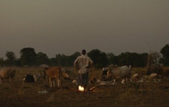 مهرجان الدوحة السينمائي يحتفي بالسرد القصصي العالمي بمجموعة من الأفلام الدولية الطويلة