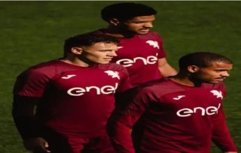 شاهد.. بث مباشر لمباراة تورينو وجنوى في الدوري الإيطالي